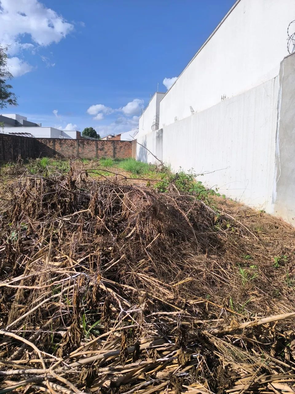 Lote - Setor Faiçalvile - Foto 2
