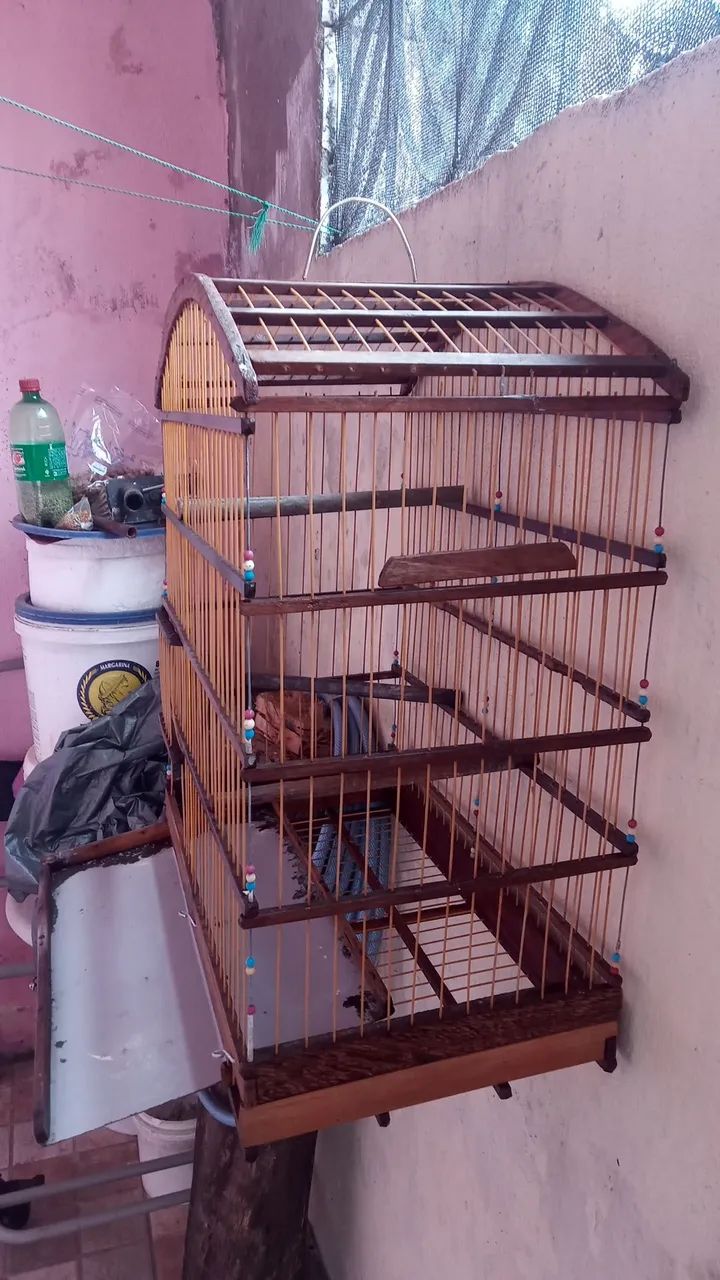 Gaiola enorme  - Foto 3