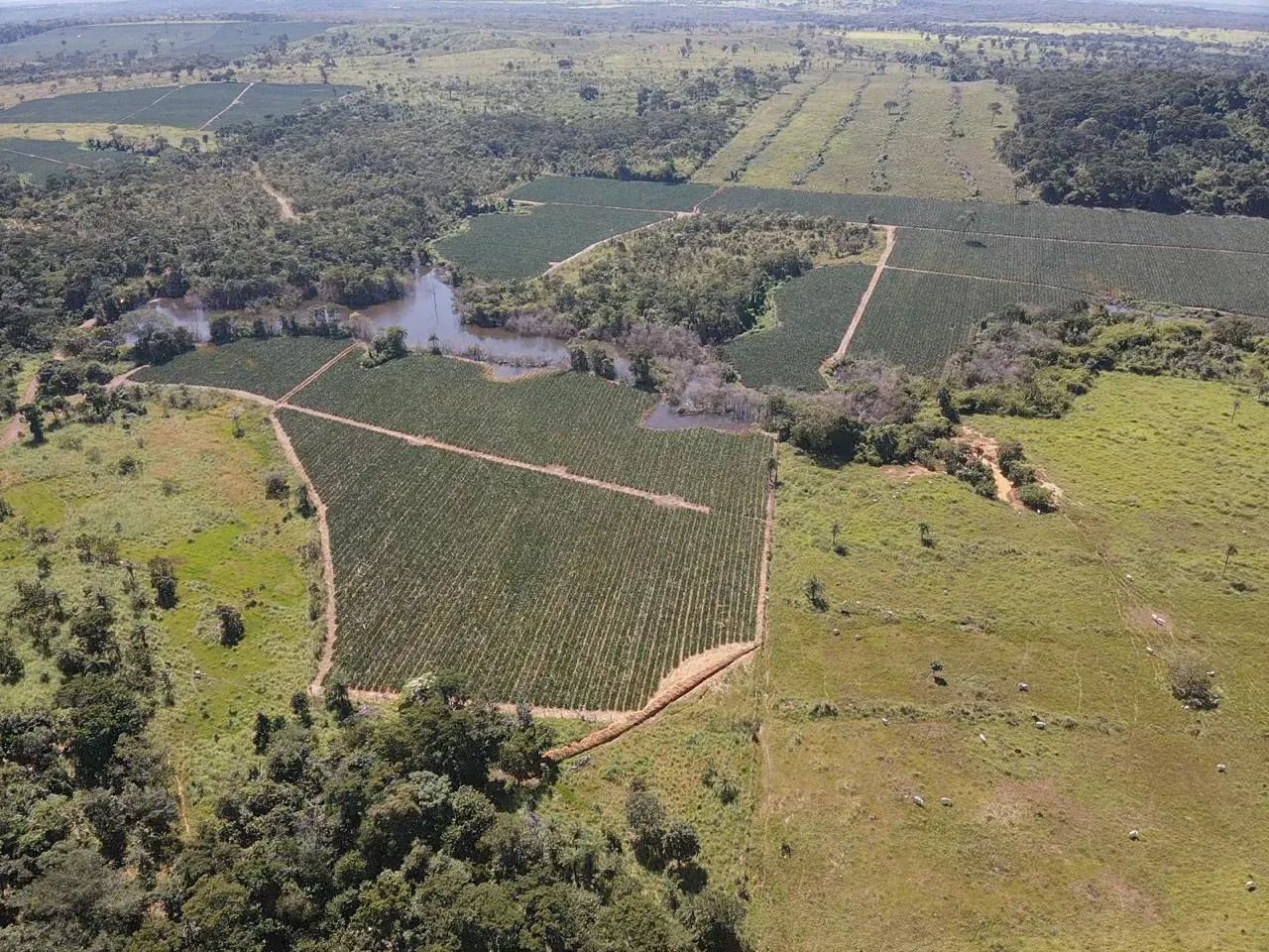 Fazenda