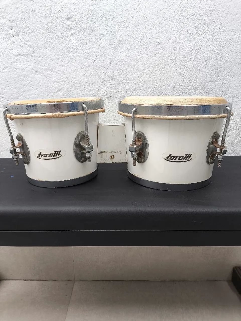 Vendo Bongo Torelli 