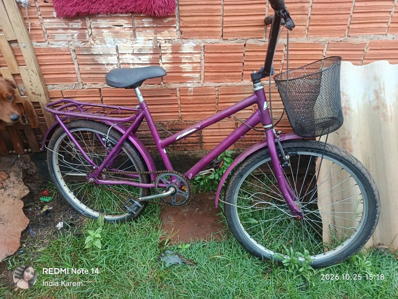 Bicicleta Poty  - Foto 2