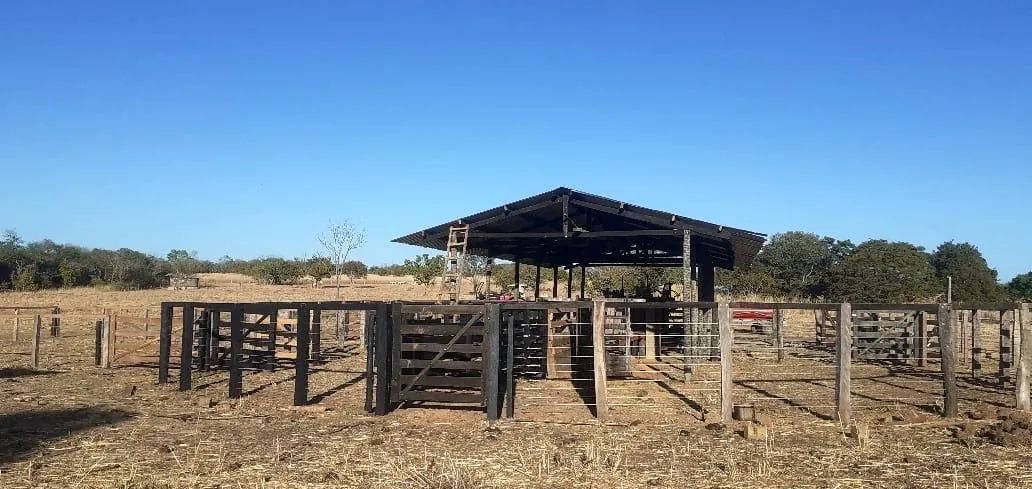 Aluguel de Pasto Próximo a Palmas - 500 Cabeças - Estrutura Nova  - Foto 4