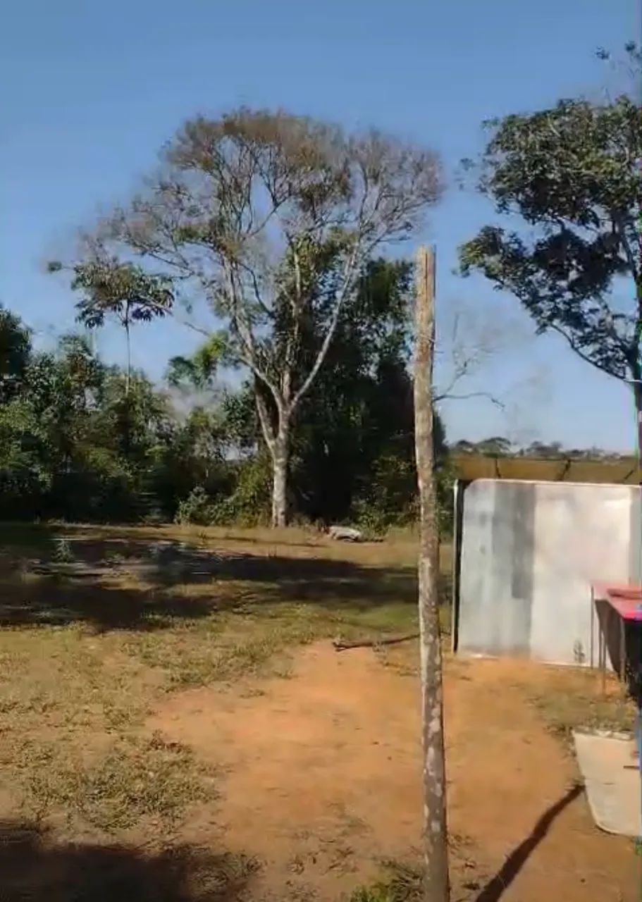 Terreno com container em Dias Tavares - Foto 5