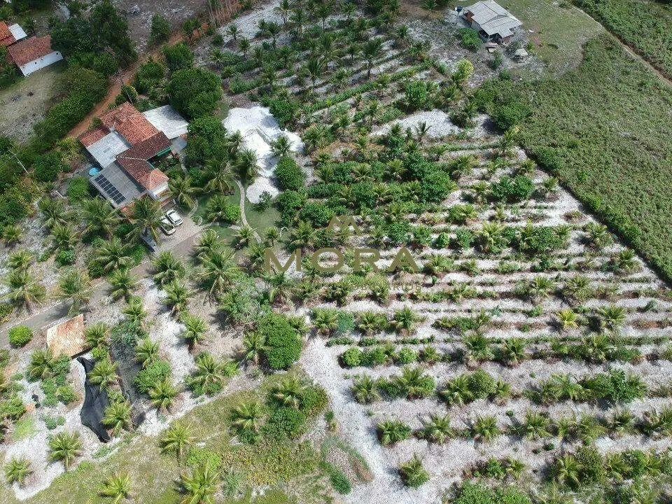 Chácara à venda em Una/BA (Centro)  50.000 m² - Foto 5