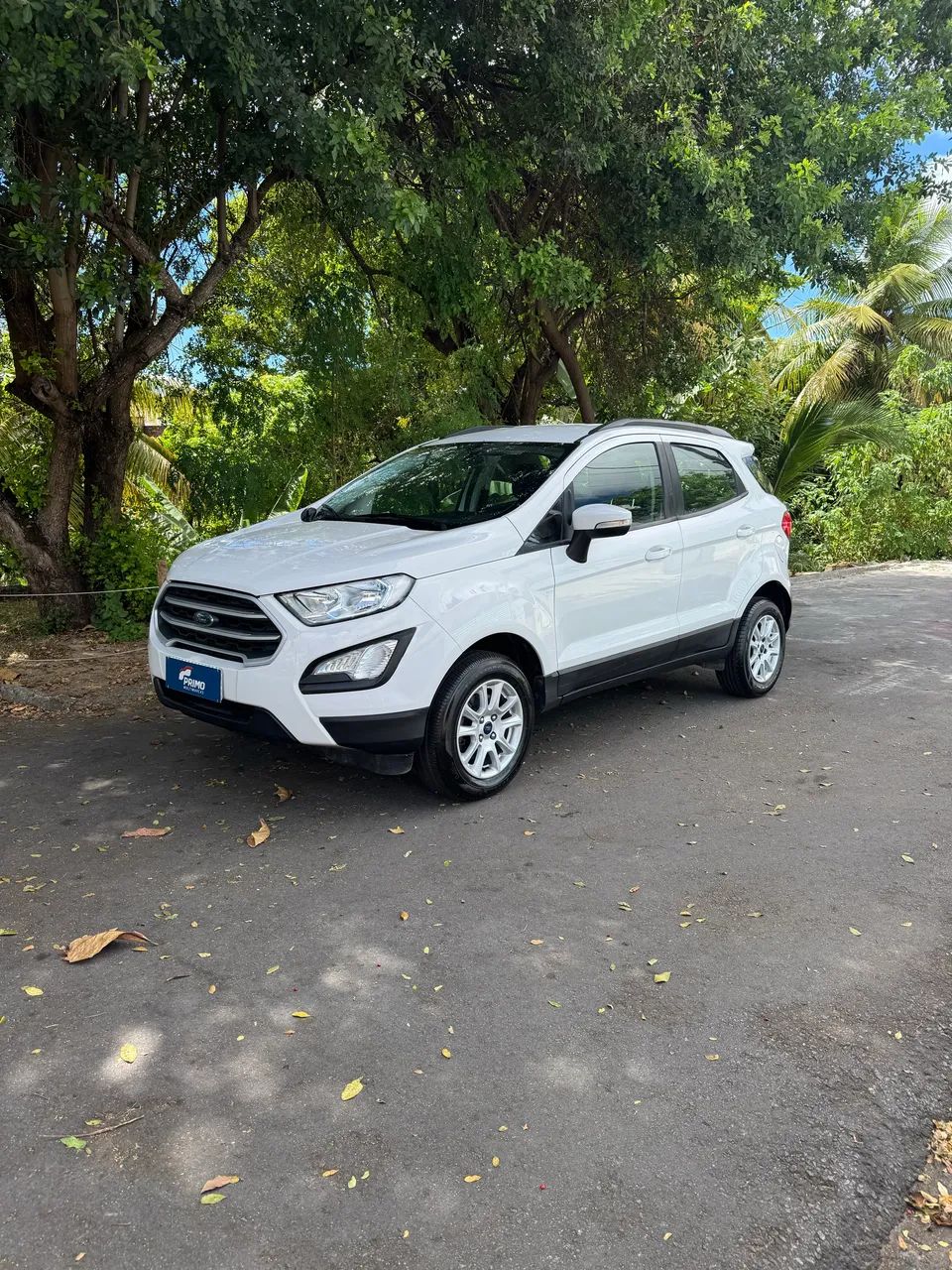 Ford Ecosport EcoSport SE 1.5 12V Flex 5p Mec. 2019