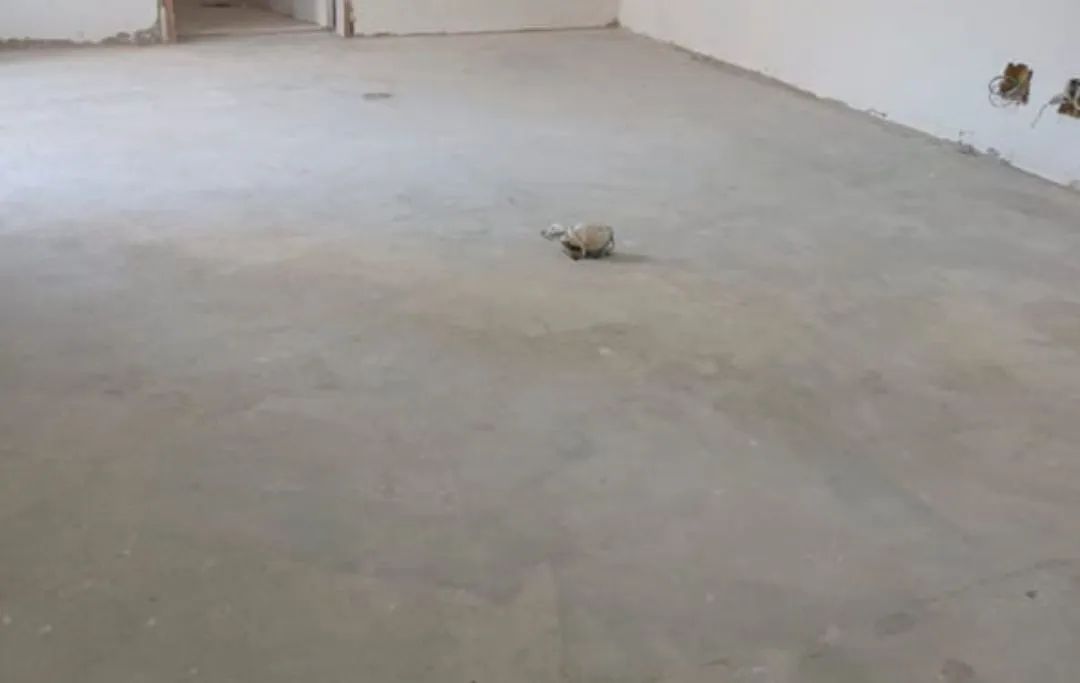 PEDREIRO REFORMAS EM GERAL  - Foto 3