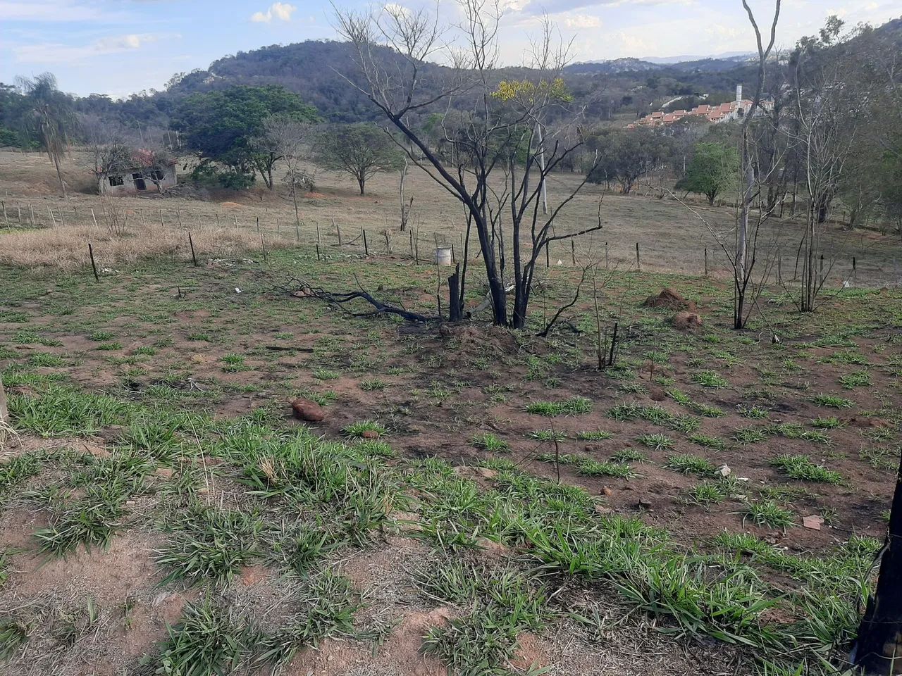 Lote Liberdade