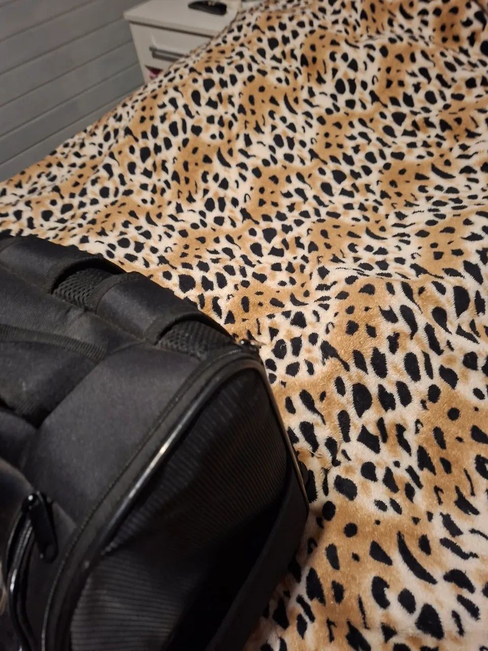 Mochila transporte Pet  - Foto 6
