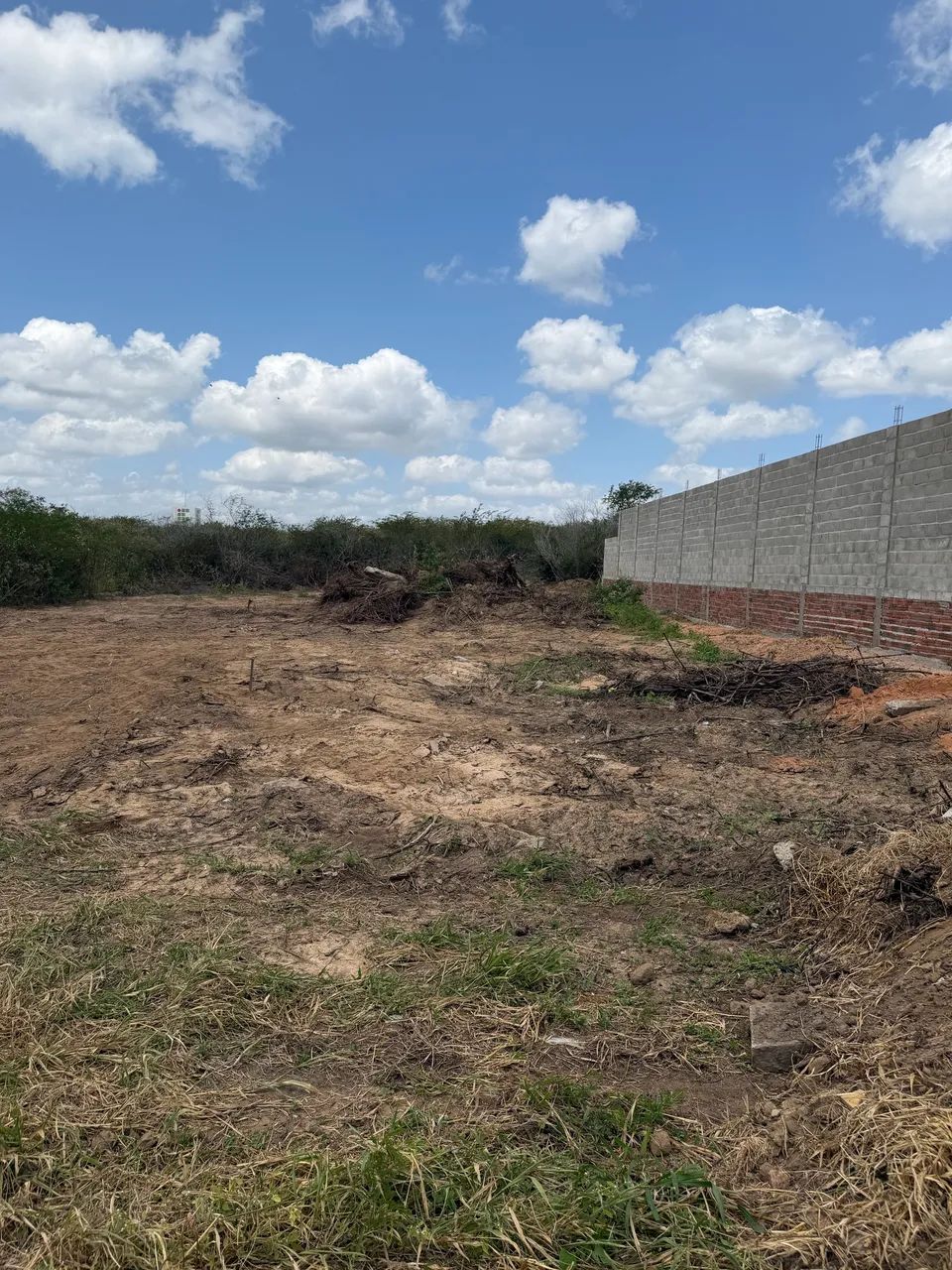 Terreno na BR 406