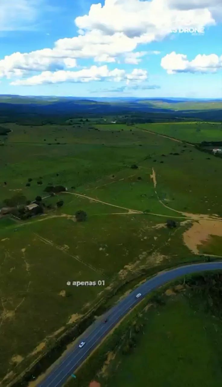 Fazenda 320 hectares (Documentada) toda no pasto e plana  - Foto 3