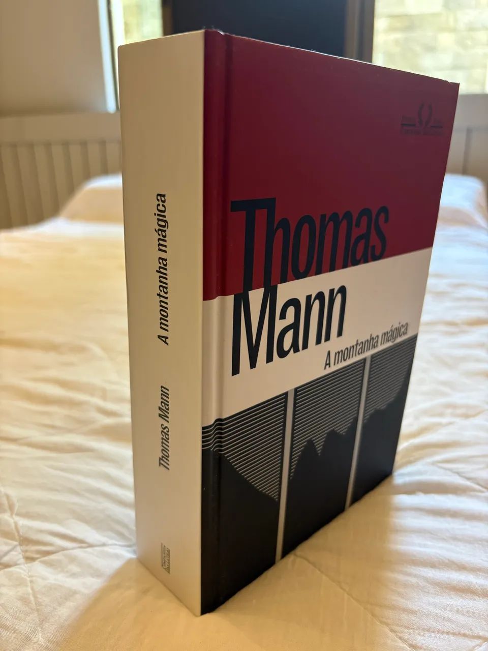 A montanha mágica - Thomas Mann