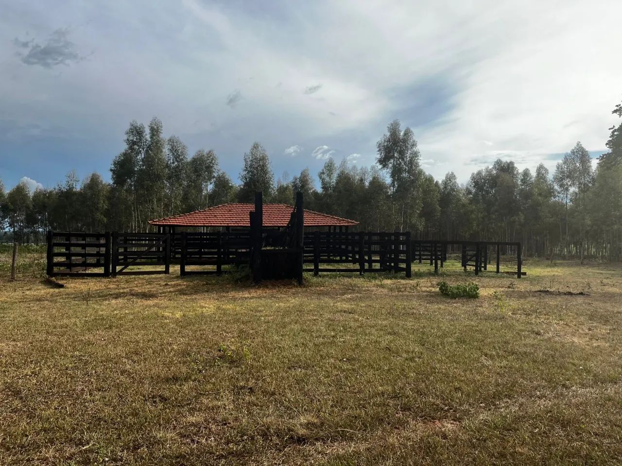Vendo Curral  - Foto 2