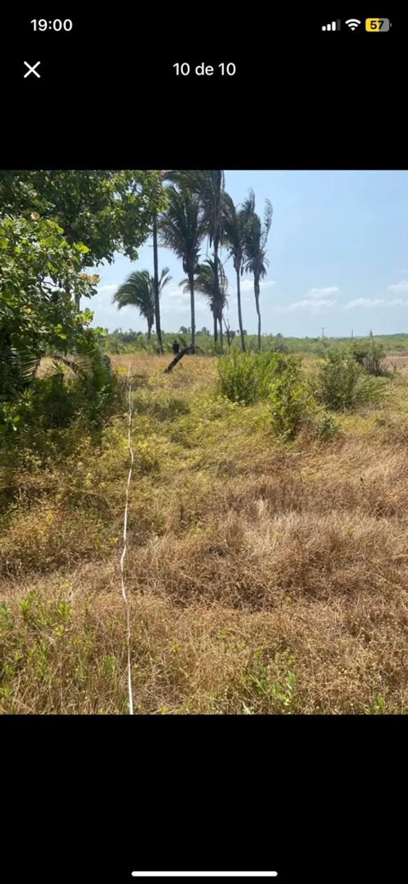 terreno praia  - Foto 3