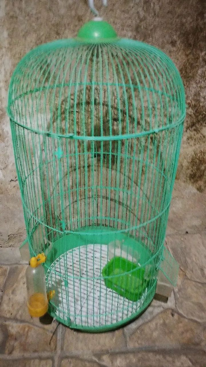 Gaiola de calopsita  - Foto 2