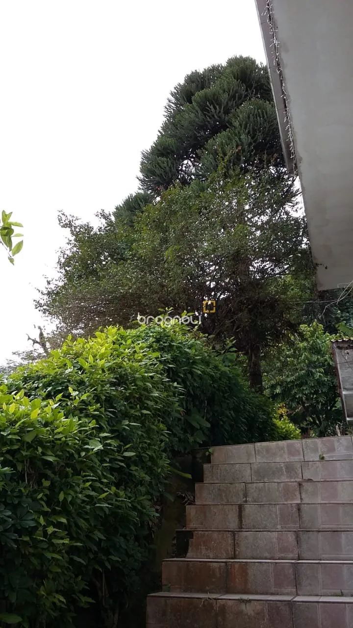 Imóvel 93488 - Foto 2