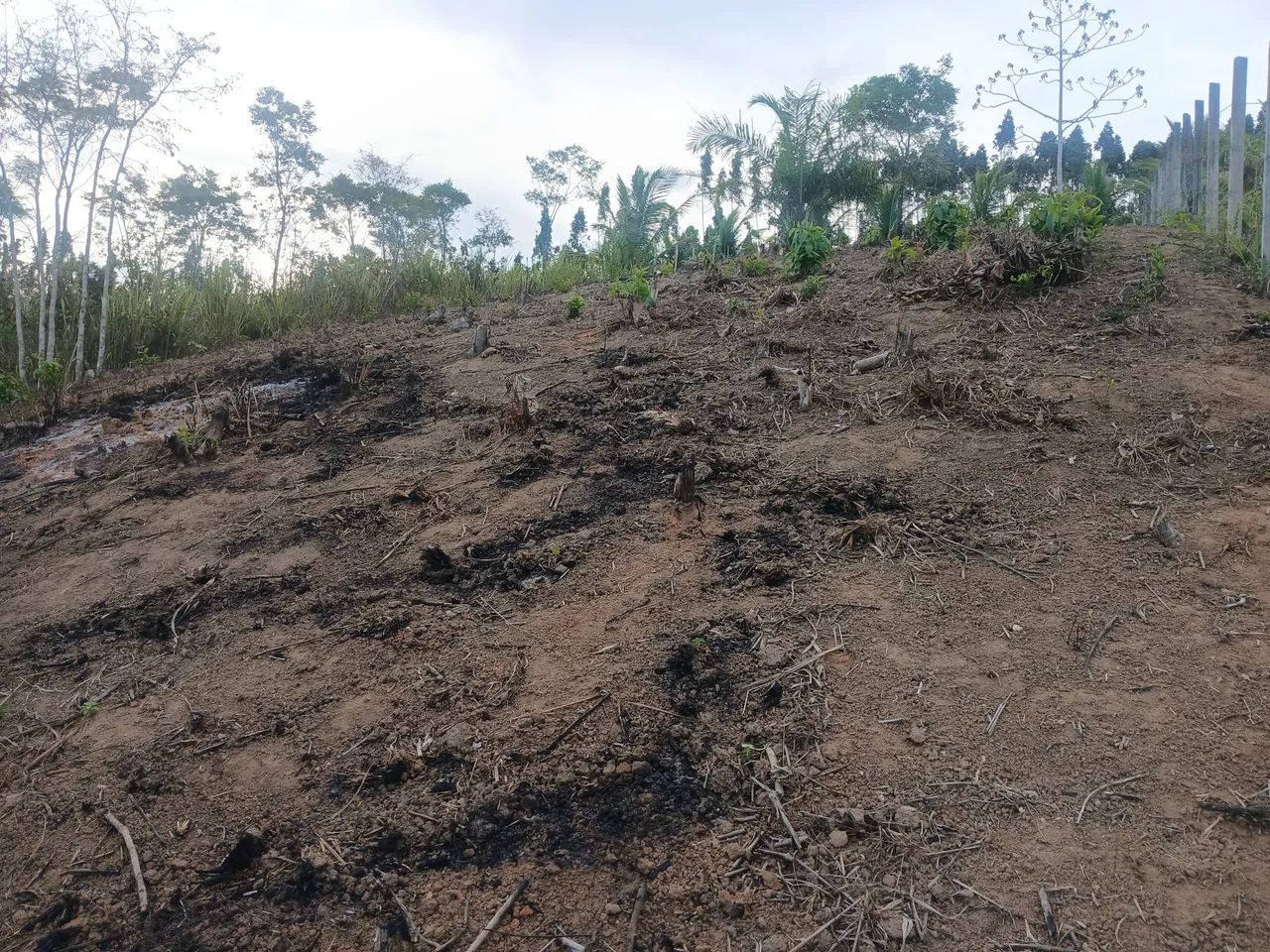 Terreno em paudalho - Foto 5