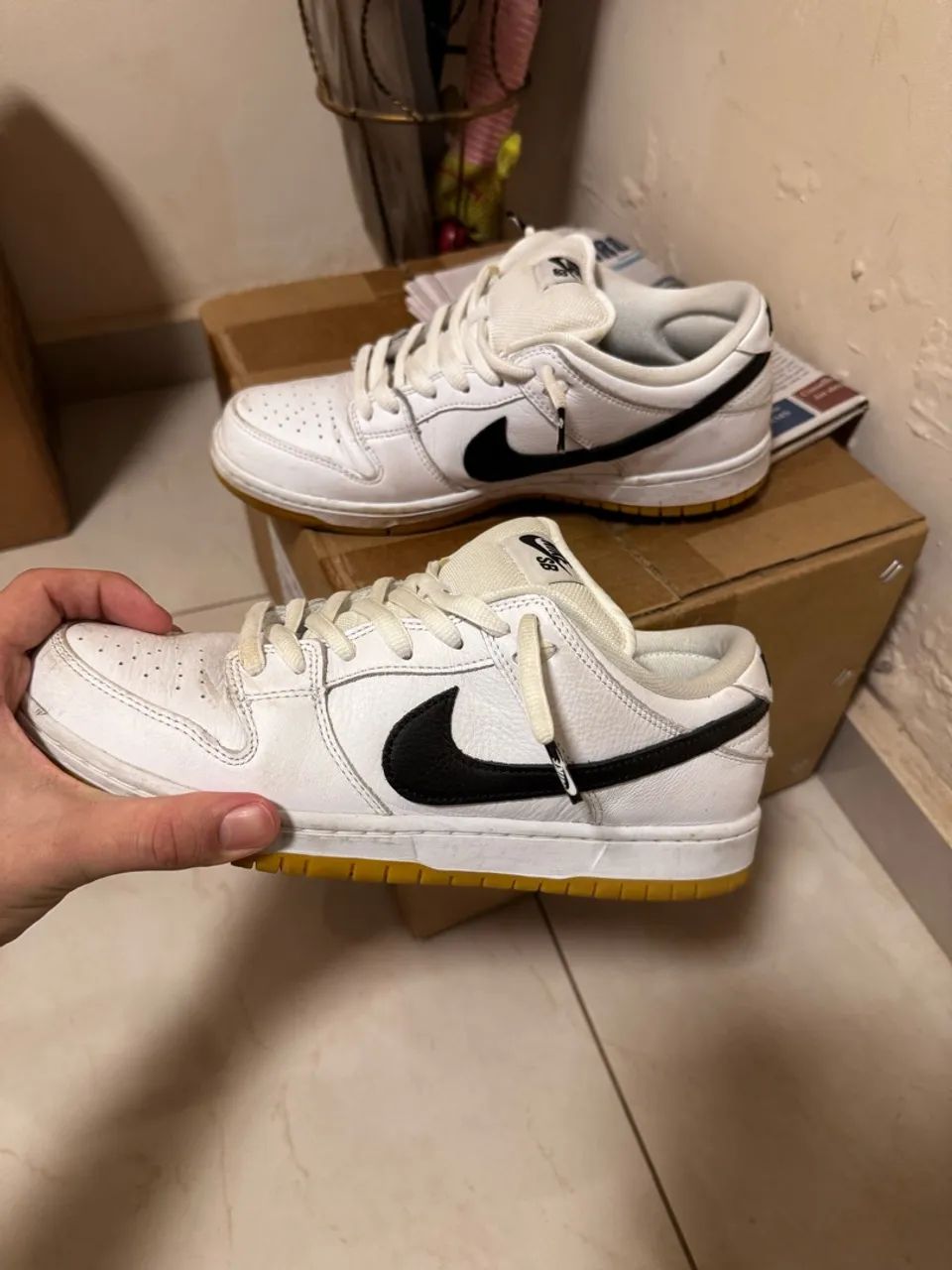 Nike Sb Dunk Low Pro 