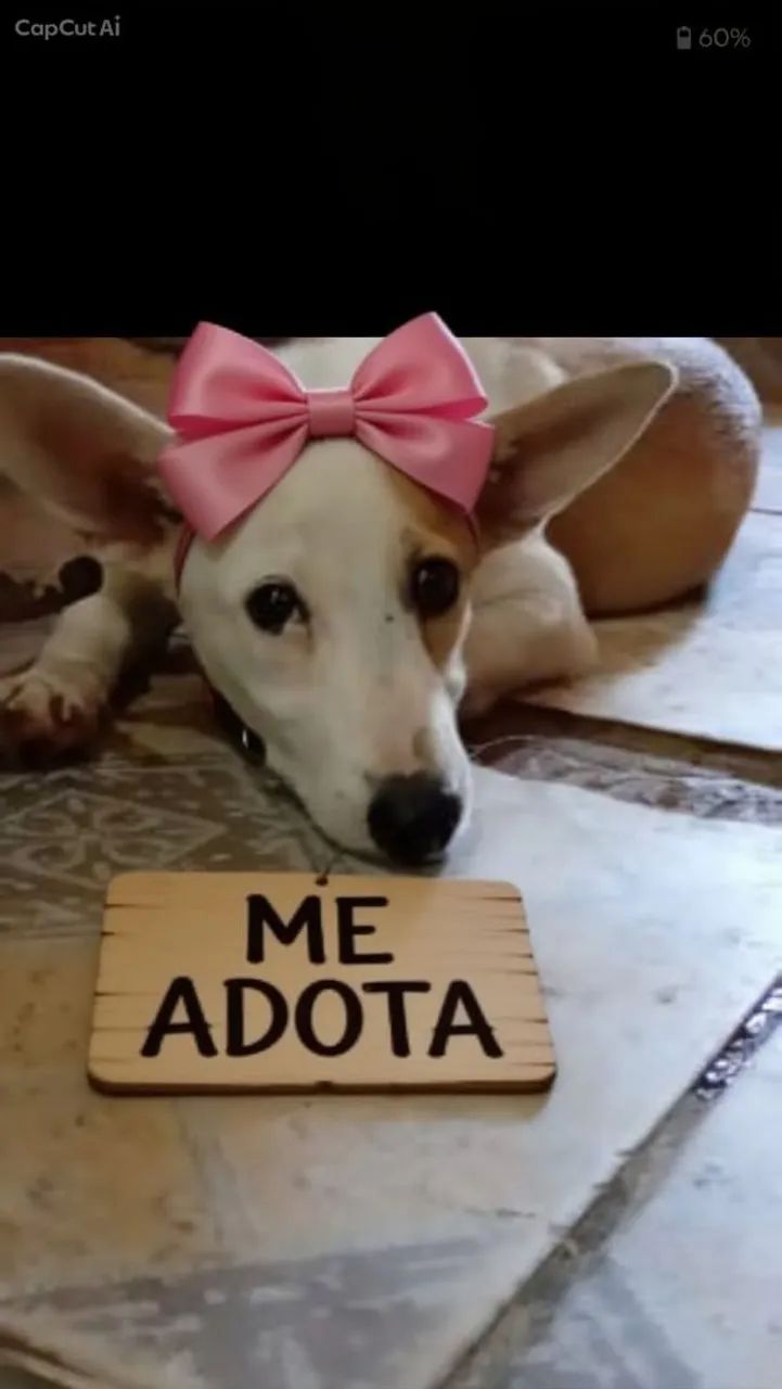 Doação