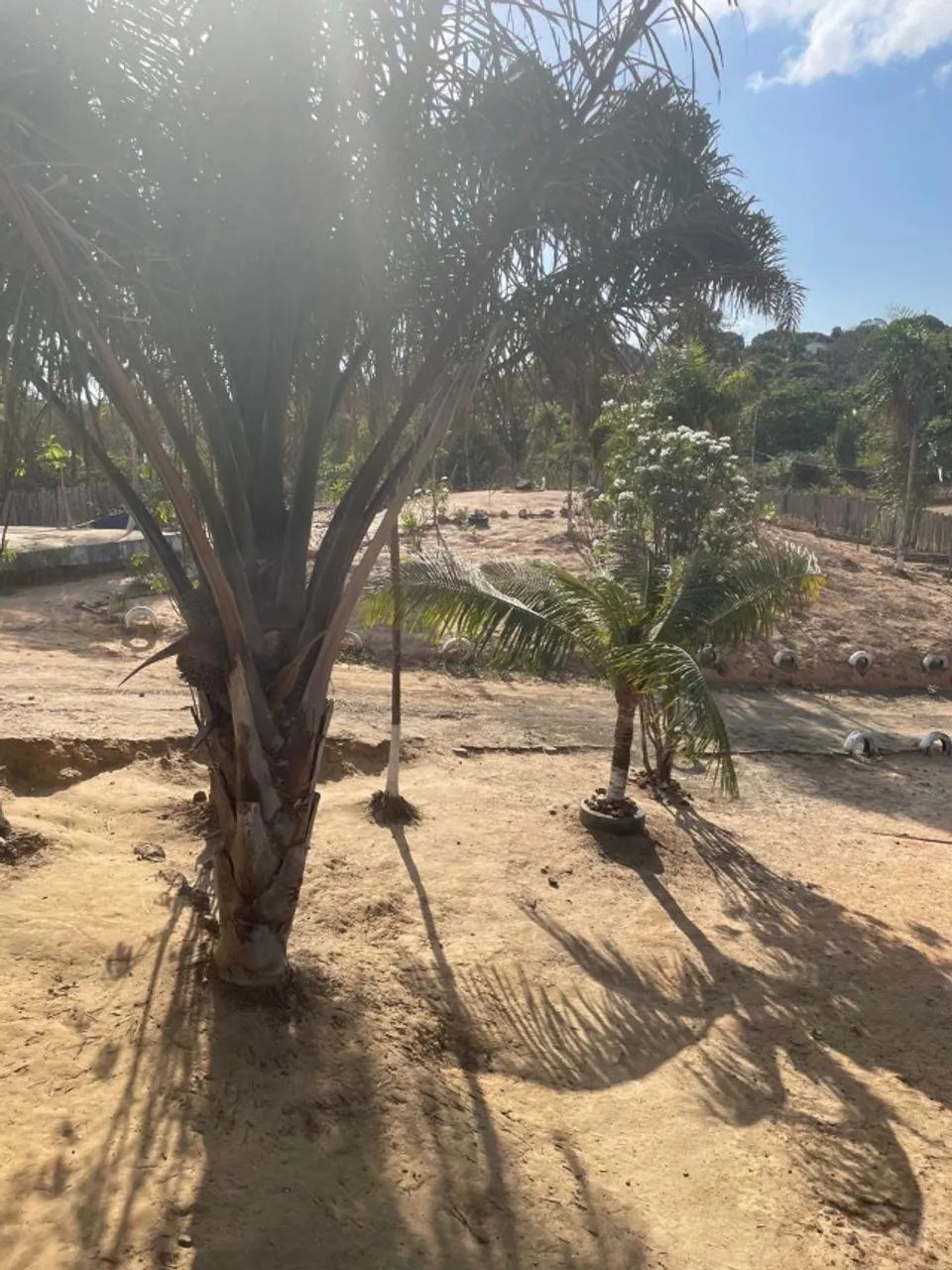 VENDE-SE - EXCELENTE CHÁCARA EM MEIO À NATUREZA