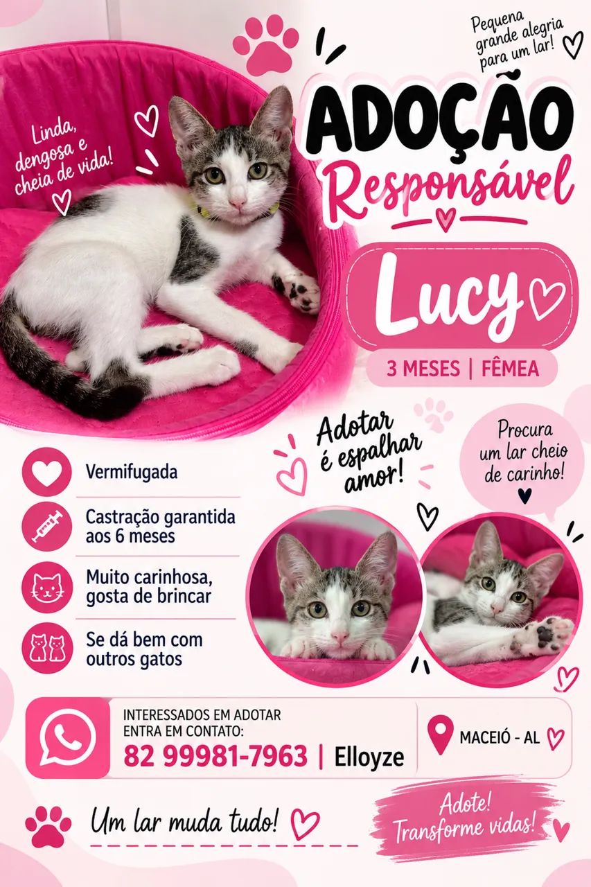 Adoção Responsável Gatinha