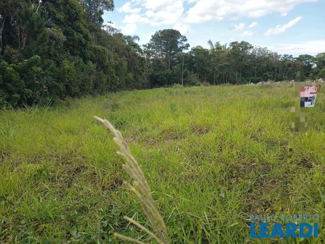TERRENO - FORQUILHAS - SC - Foto 4