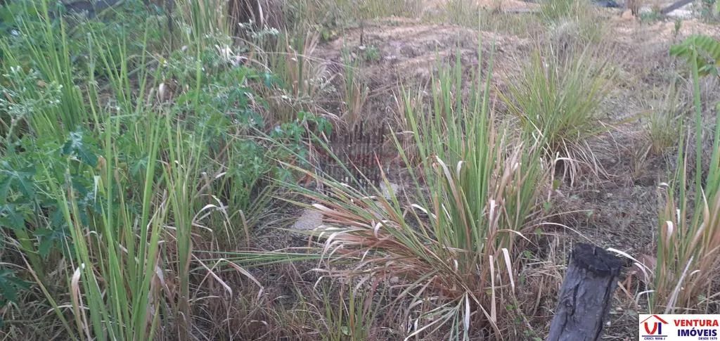 Terreno/Loteamento à Venda em Apipucos - Foto 2