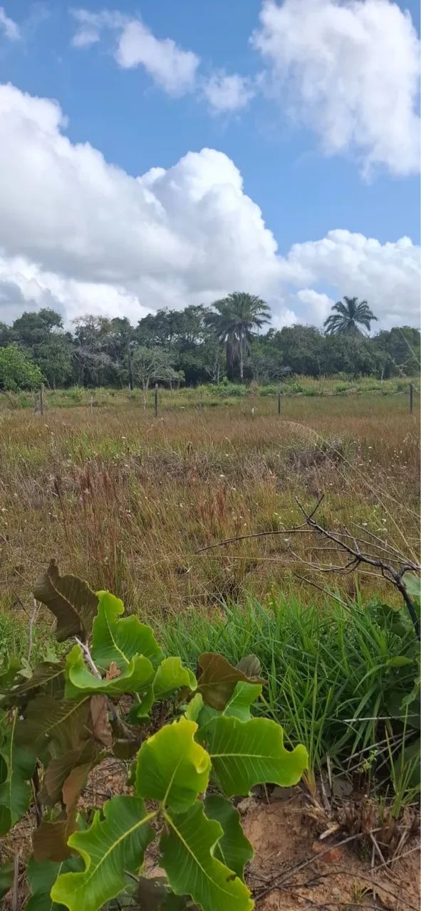 Foto - Vera Cruz - 
