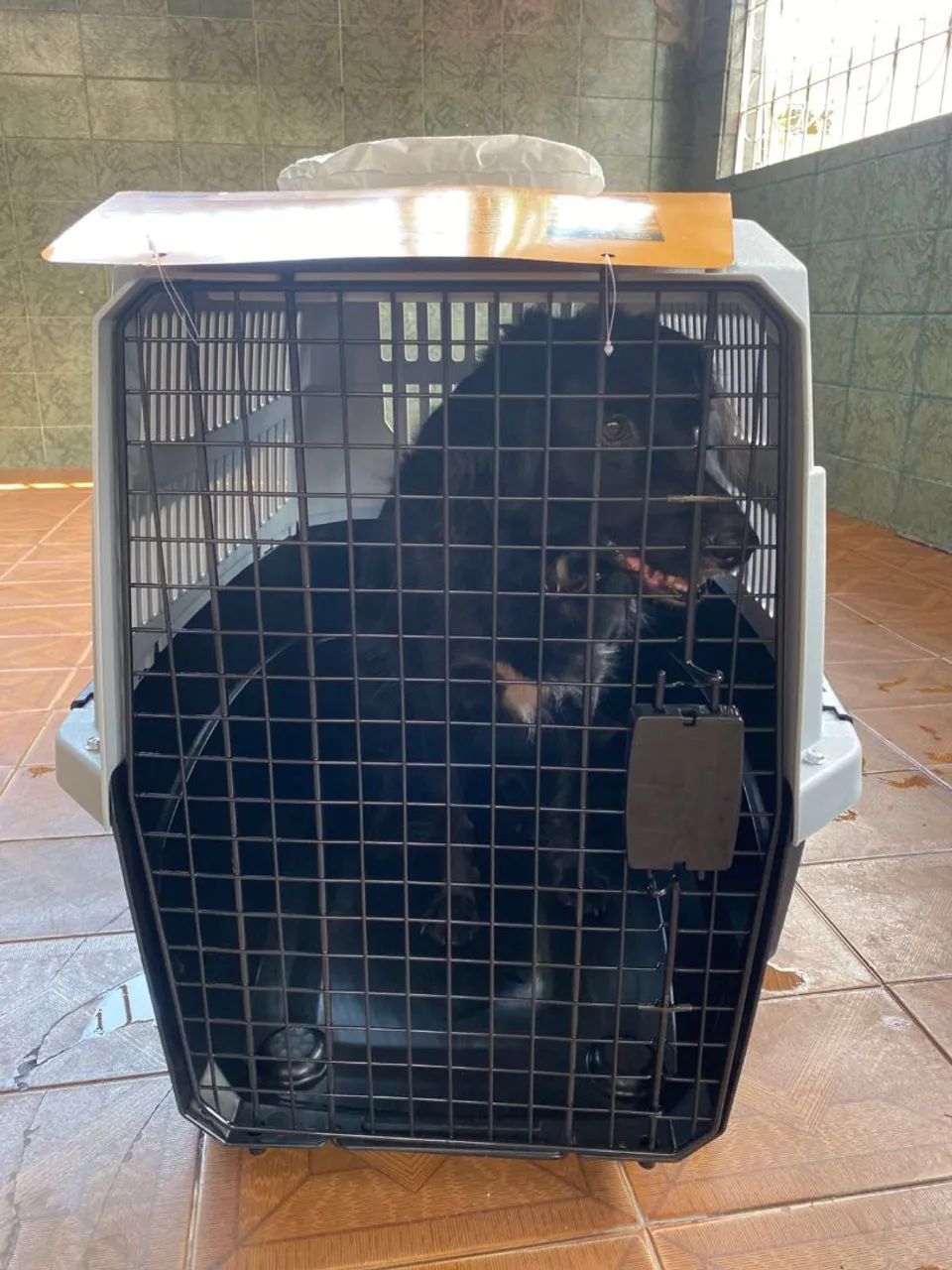 Caixa de transporte extra grande  - Foto 3