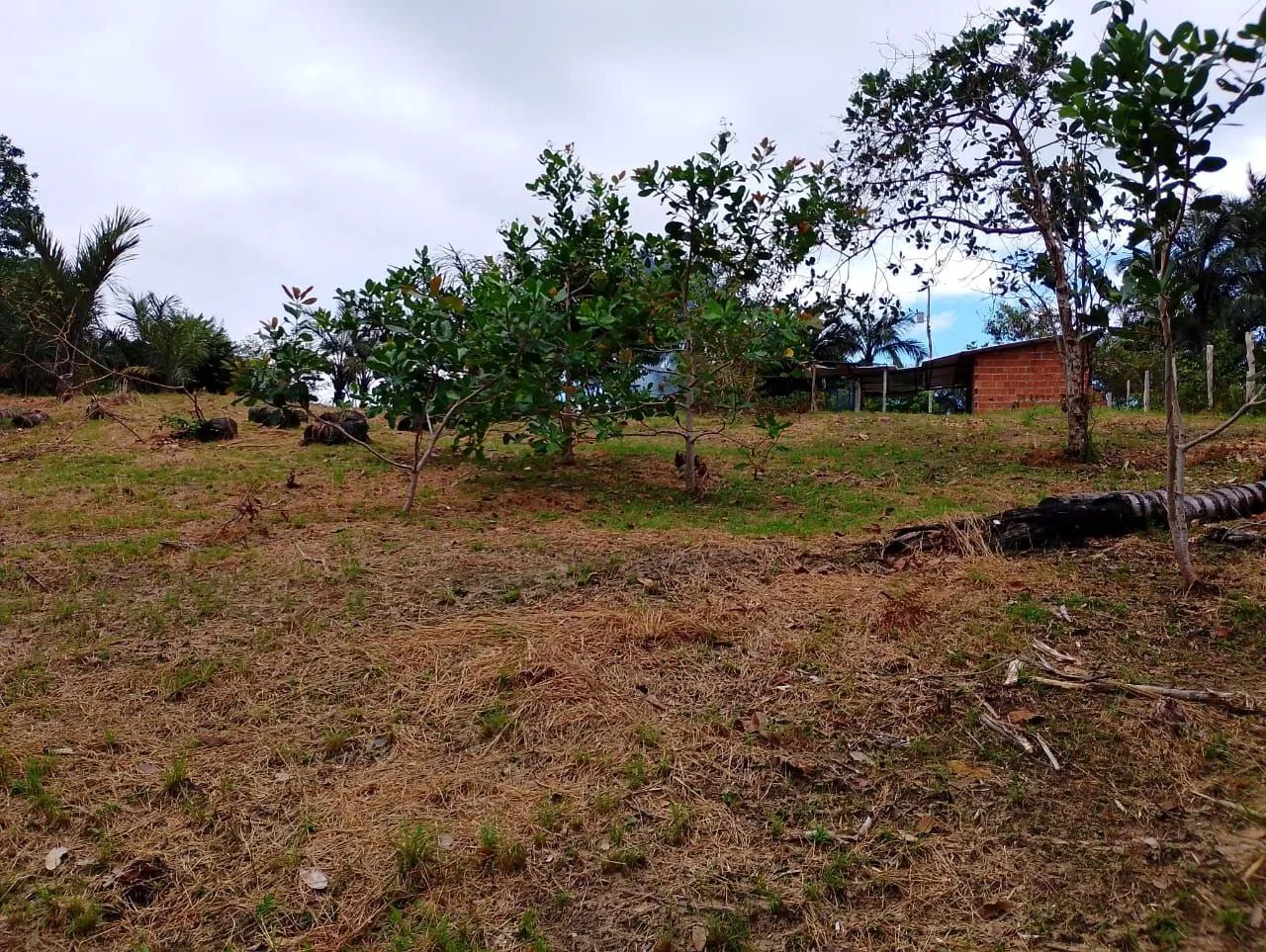 Chácara no Rio Preto da Eva - Foto 2