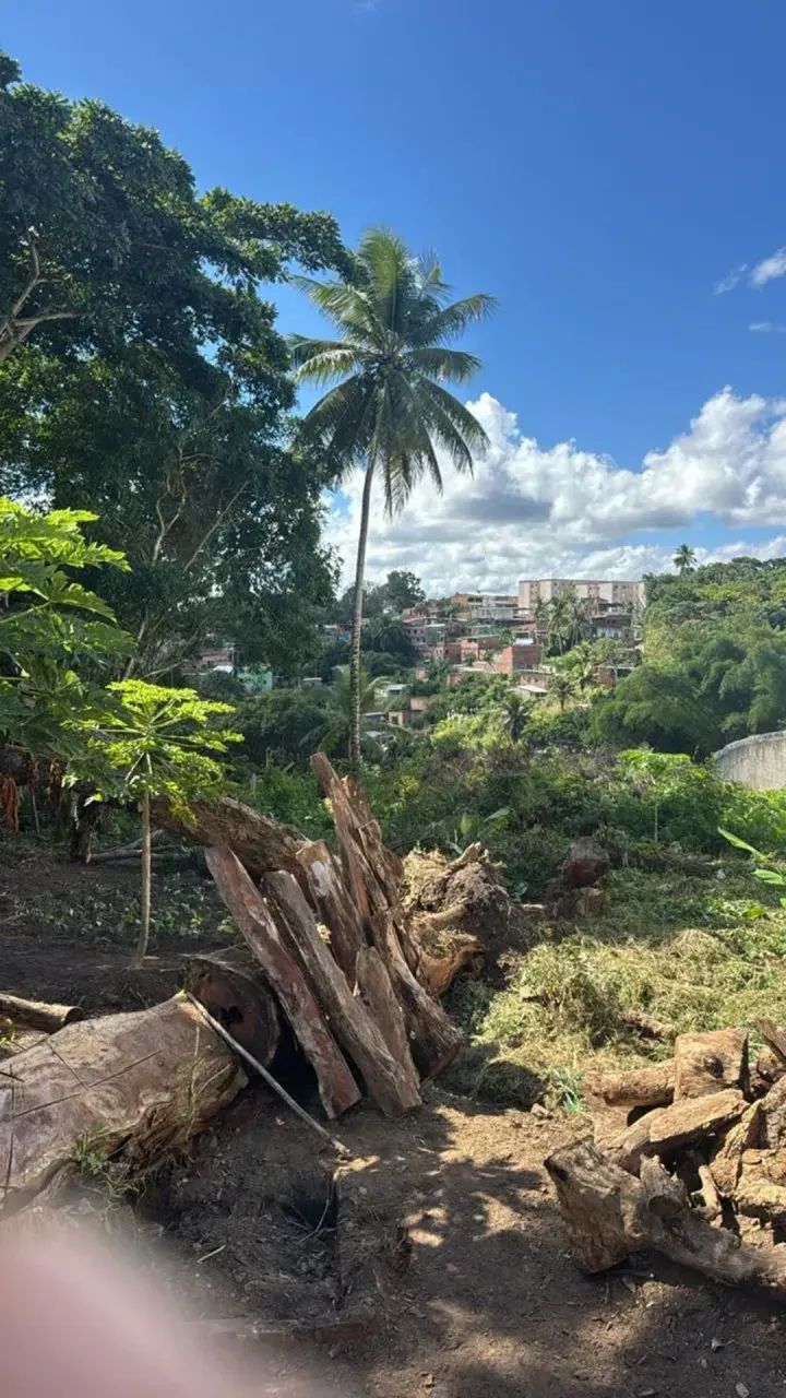 VENDO TERRENO EM CAJAZEIRAS - Foto 4