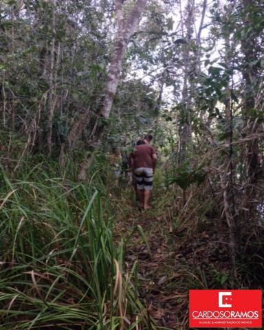 Sítio à venda em Itanagra, Itanagra cod:FA00005 - Foto 8