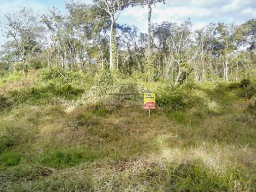 Terreno à venda em Cohapar, Guaratuba cod:125331 - Foto 8
