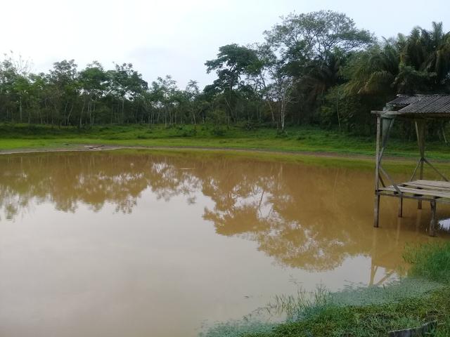 Alugo chácara 3 minutos do centro, 2 hectares - Foto 3