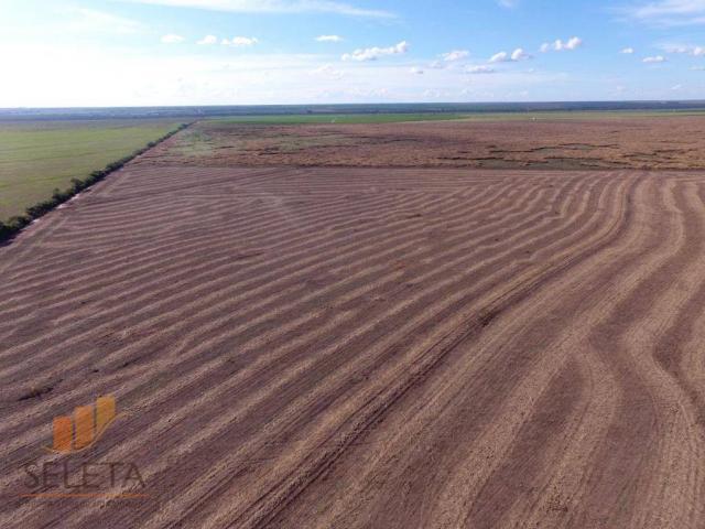 Fazenda à venda, 12650000 m² por r$ 16.000.000 - vila rica - barreiras/ba - Foto 7
