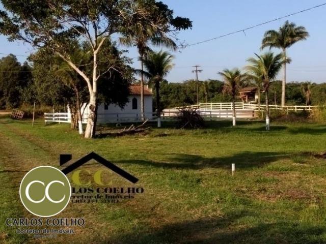 CMG Cód -138 Excelentes Terrenos Próximo ao Trevo de Búzios - Foto 11