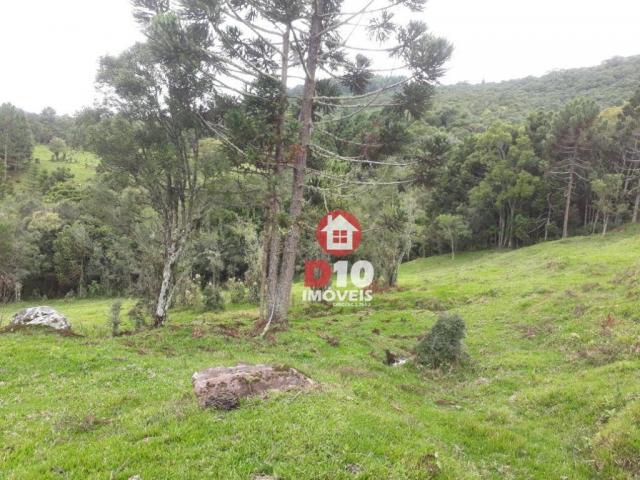Terreno de 30 alqueires em ponte alta - sc - Foto 10