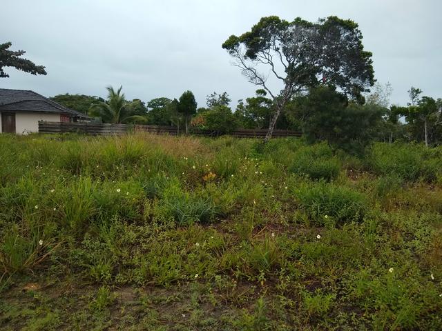 Área de Luxo, Esse Preço É Por Tempo Limitado Aproveite!! - Foto 19