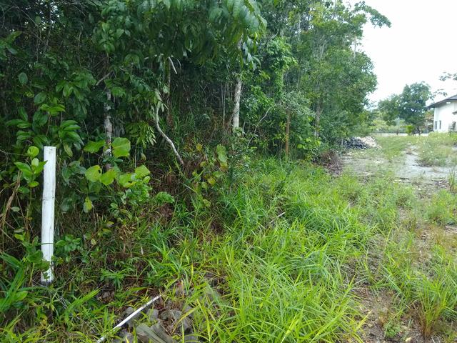 Área de Luxo, Esse Preço É Por Tempo Limitado Aproveite!! - Foto 2