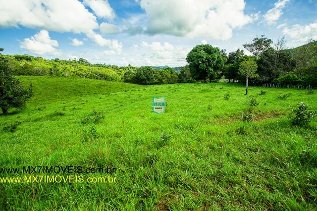 Ubaitaba. Fazenda de 50 Hectares a 4 km do asfalto. - Foto 4