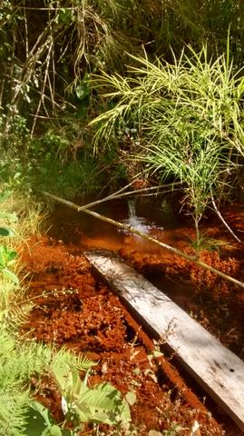 Chácara em Chapada