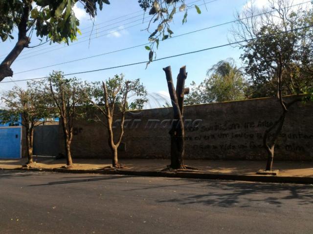 Casa para alugar com 3 dormitórios em Vila santa tereza, Jaboticabal cod:L3304
