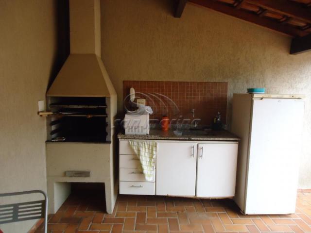 Apartamento para alugar com 2 dormitórios em Campos eliseos, Ribeirao preto cod:L3322 - Foto 11