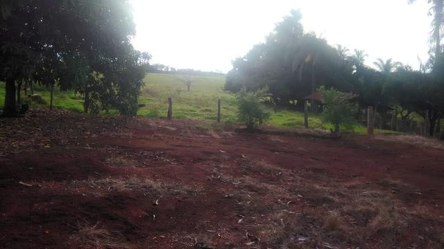 Fazenda terra de cultura município Tupaciguara - Foto 6