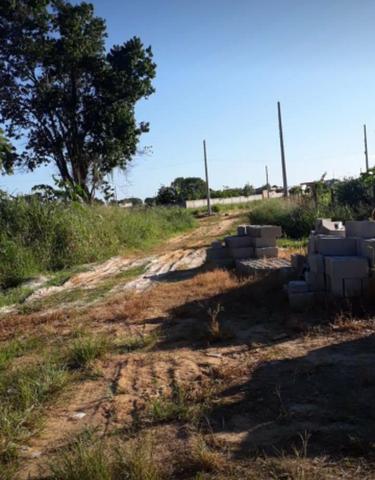 Vende-se lonte em bebedouro