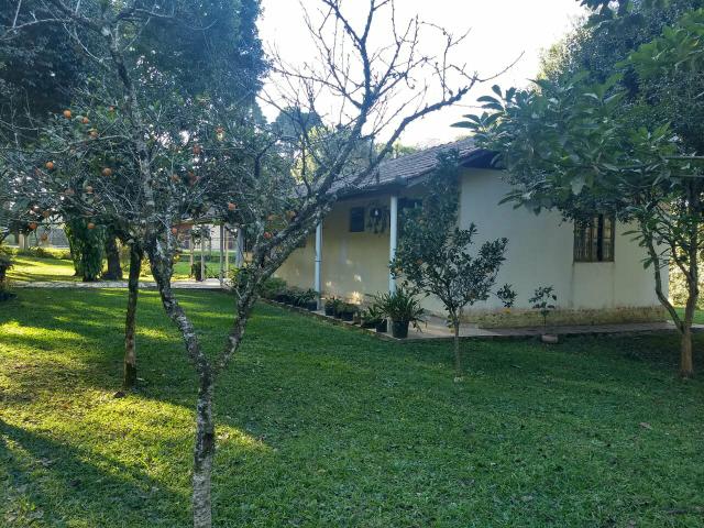 Chacarra a venda - Foto 9