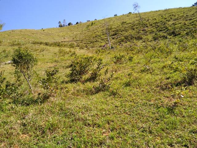 Sítio Viana 2 alqueires - Foto 11