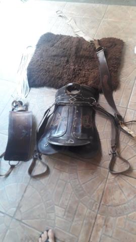 Encilha completa