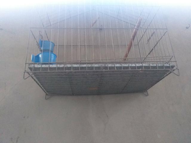 Gaiola 52x58 - Foto 2