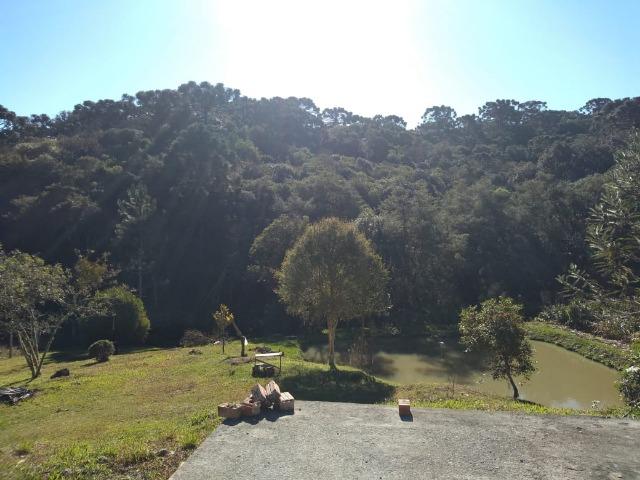 Otima oportunidade de negocio - Chacara - Foto 5
