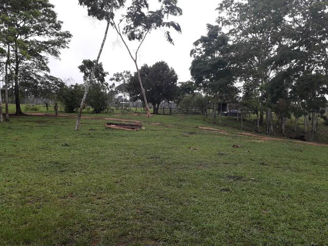 Colonia no Porto Alonso R$ 150.000,00 - Foto 3